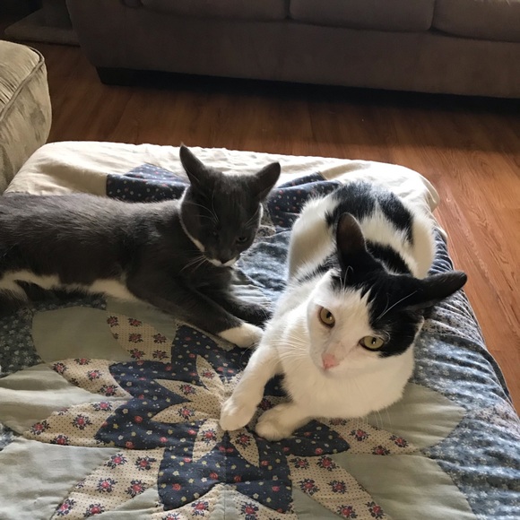 Meet your Posher, Shelly - Picture 5 of 5